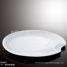 unique white porcelain dish